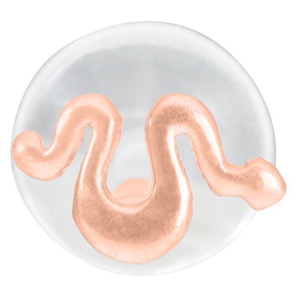 Labret de serpiente rosado dorado sobre fondo blanco