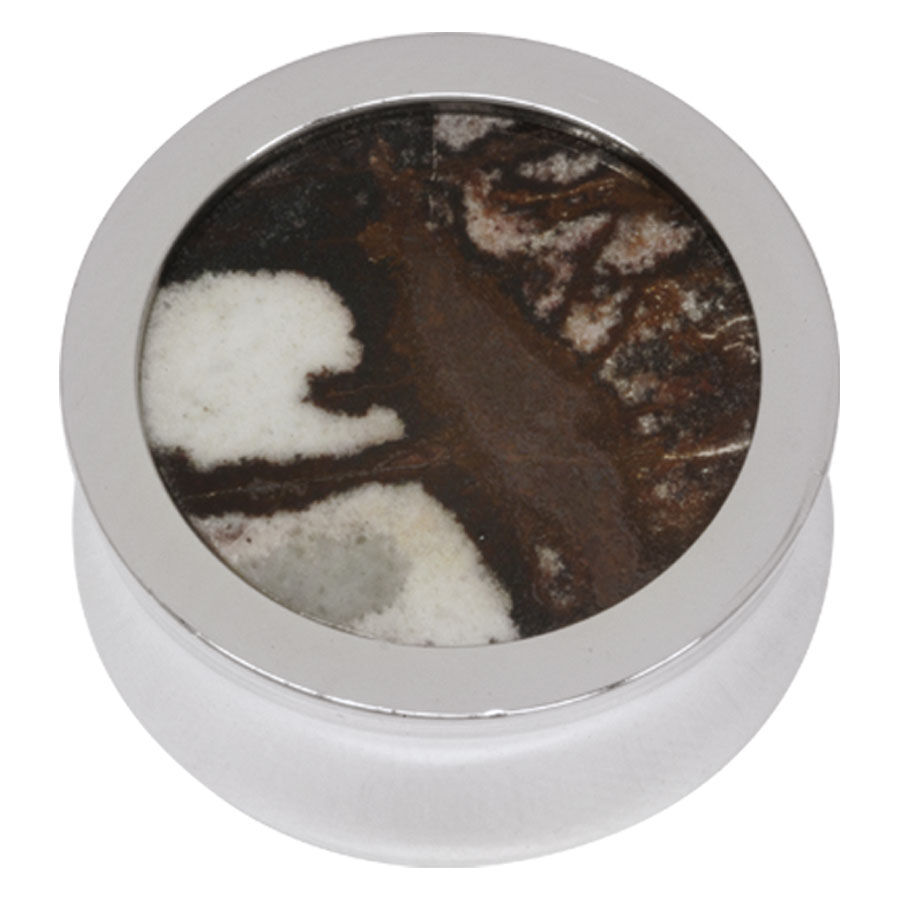 Plug de plata de acero quirúrgico con inserto redondo de Outback Jasper.