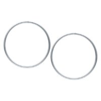 Hollowed Hoops Hollowed Hoops