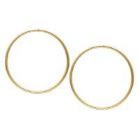 Dos grandes aros dorados de acero quirúrgico sobre fondo blanco