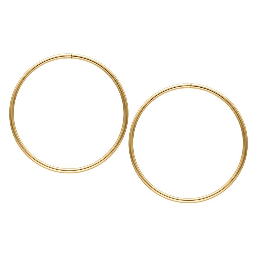 Dos grandes aros dorados de acero quirúrgico sobre fondo blanco