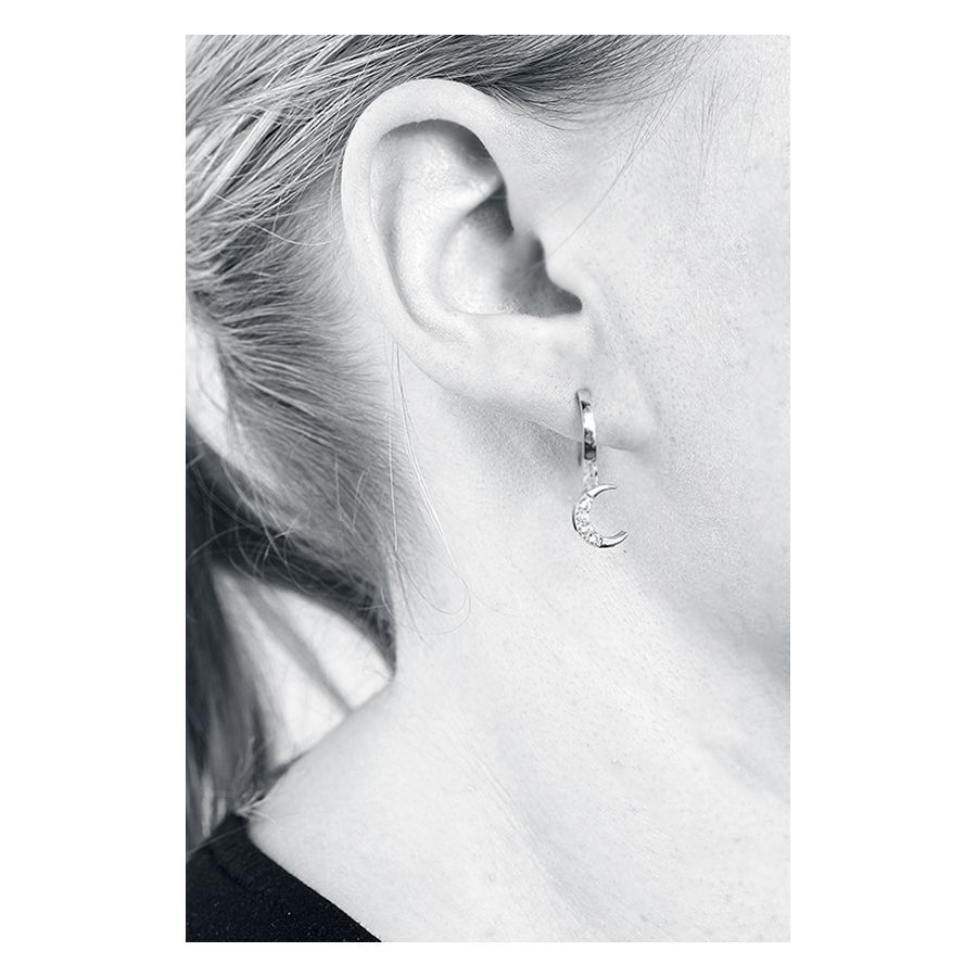 Moon and Polarstar Earstuds