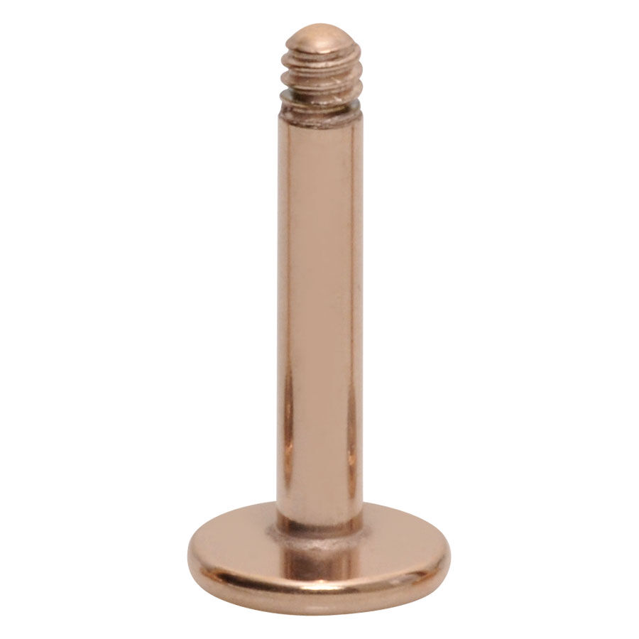 Steel Roseline - Basic Labret without Ball Steel Roseline - Basic Labret without Ball