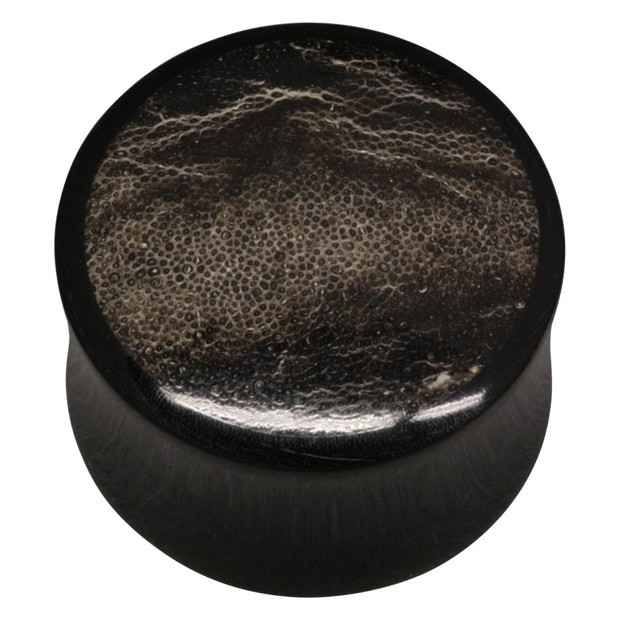 Fossilized Rhino Horn Inlay Buffalo Plug