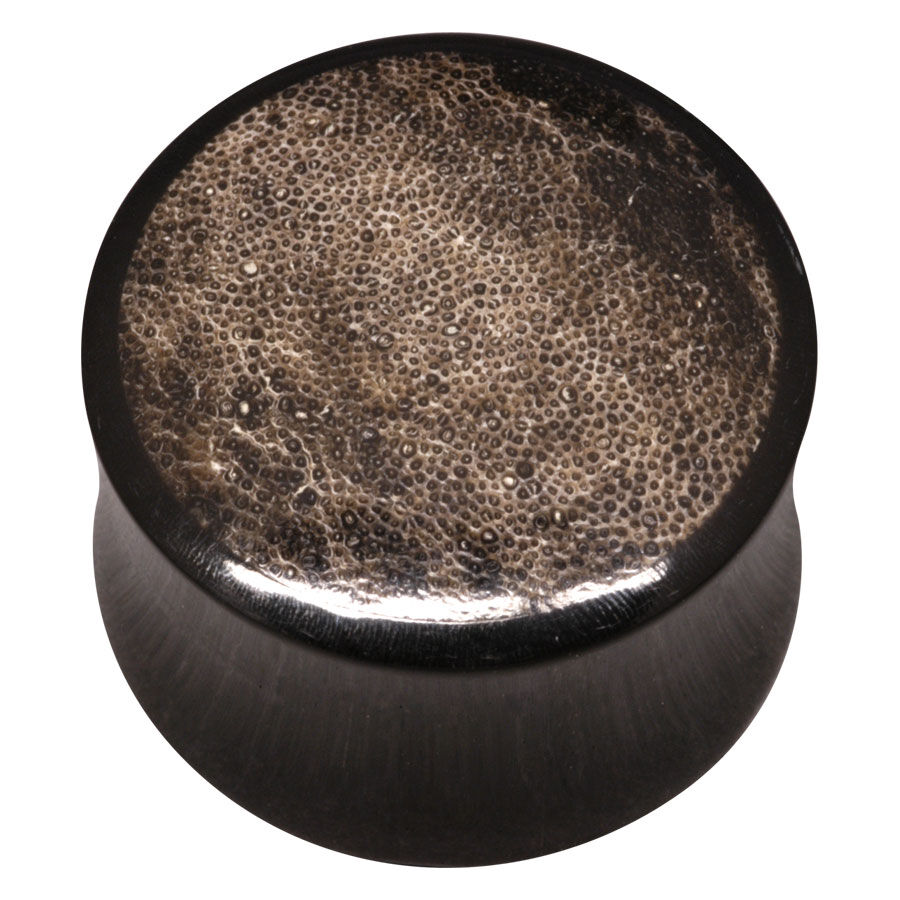 Fossilized Rhino Horn Inlay Buffalo Plug