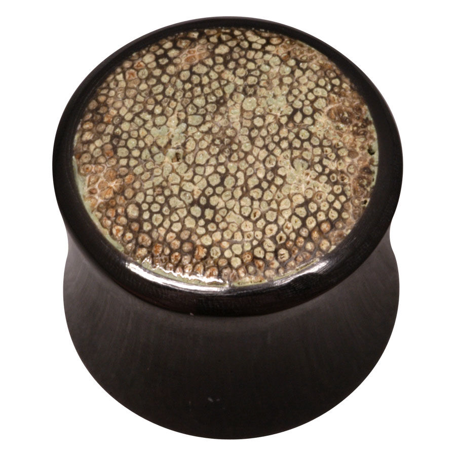 Fossilized Rhino Horn Inlay Buffalo Plug