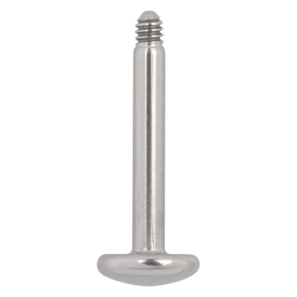 Labret de titan plateado sin bola sobre fondo blanco