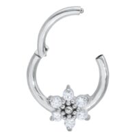 Ice Flower Ice Flower