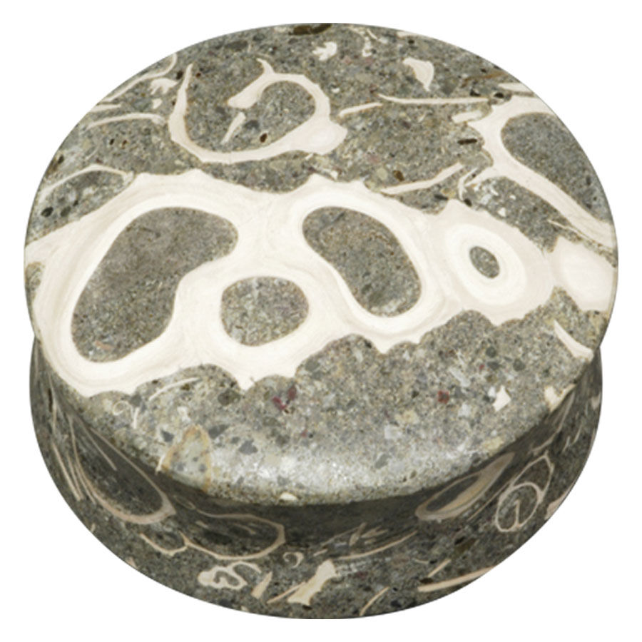 Plug redondo de piedra Seafloor Turritella en gris y blanco sobre fondo blanco