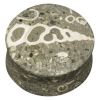 Plug redondo de piedra gris con patrones fósiles sobre fondo blanco