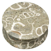 Plug de piedra redondo con patrones naturales de conchas sobre fondo neutro