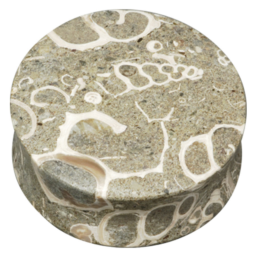 Plug de piedra redondo con patrones naturales de conchas sobre fondo neutro