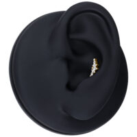 Ajuste Tiara Dorado con cristales claros en modelo de oreja negra