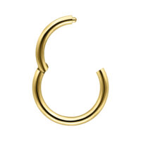 Aro de piercing dorado de 14K con bisagra, grosor 1,2 mm, diámetro 8 mm