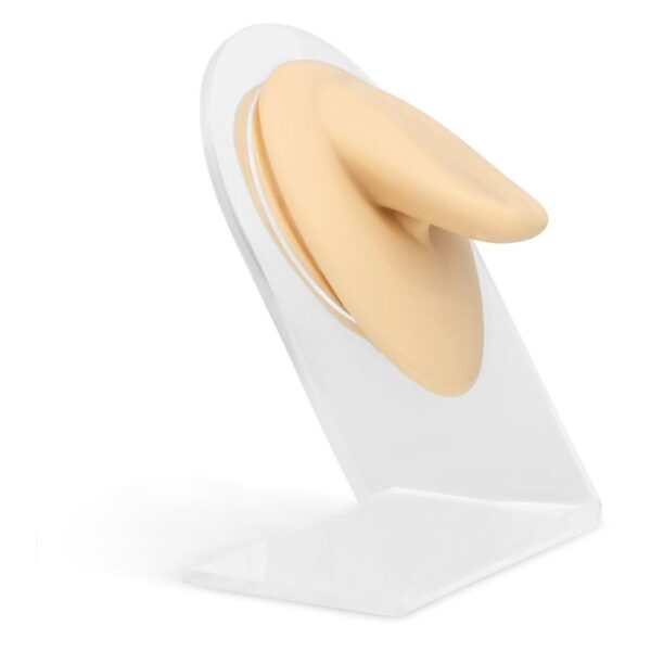 Body Bit Tongue beige de silicona en soporte de exhibición transparente