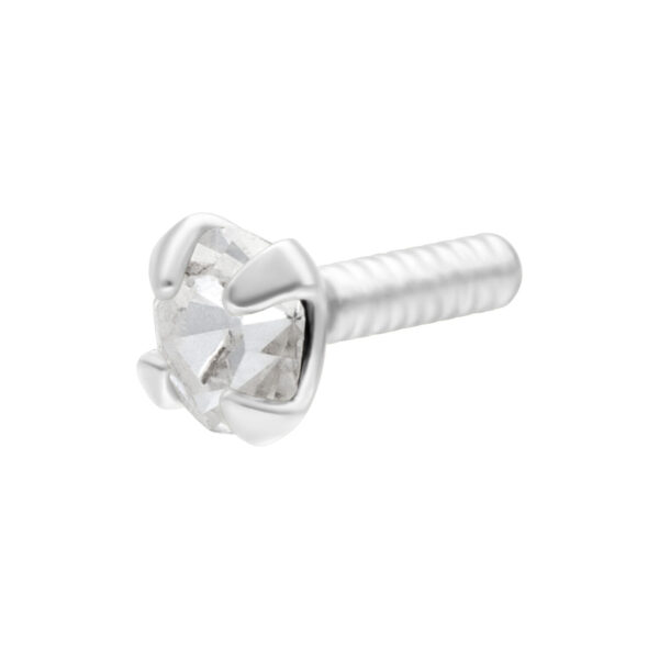 Plata con cristal claro, rosca externa, sobre fondo blanco