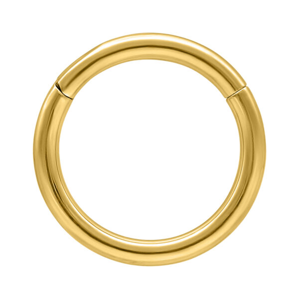 Anillo bisagra dorado de titanio con 0,8 mm de grosor y 5,0 mm de diámetro interno sobre fondo blanco