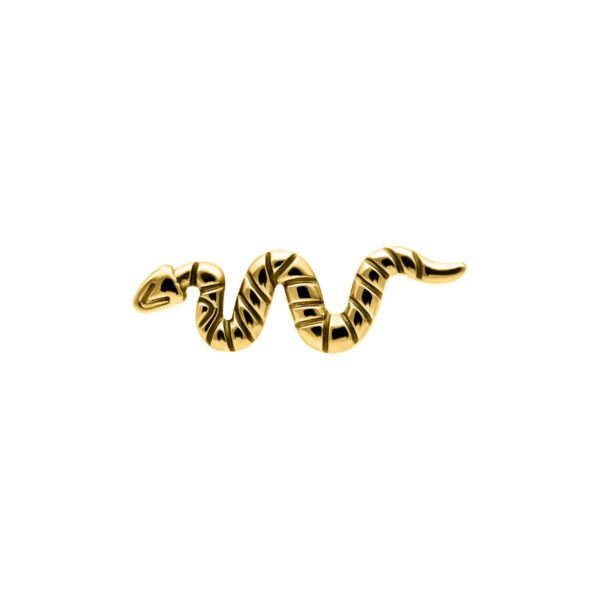 Accesorio de serpiente dorado de titanio sobre fondo blanco
