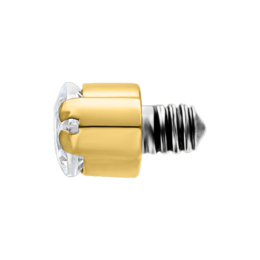 Ajuste de piercing dorado de titanio con cristal claro sobre fondo blanco