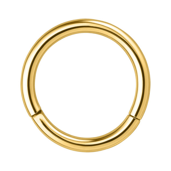 Anillo segmentado dorado de acero quirúrgico 316L, grosor 0,8 mm, diámetro interno 5,0 mm, sobre fondo blanco