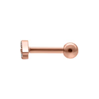Barbell para la oreja en oro rosa con cristal Barbell para la oreja en oro rosa con cristal claro sobre fondo blanco