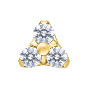 Accesorio Trinity para Pushfit Labret