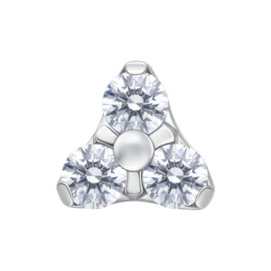 Accesorio Trinity para Pushfit Labret