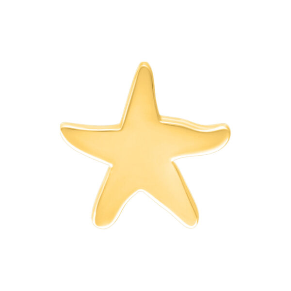 Aro de estrella dorada de plata sobre fondo blanco