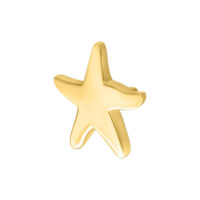 Aplique de Estrella de Mar Dorada en forma de estrella sobre fondo blanco