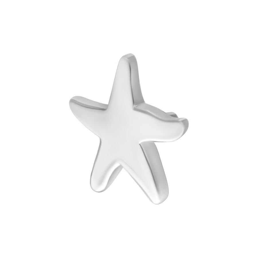 Ajuste de estrella de mar plateada de metal sobre fondo blanco