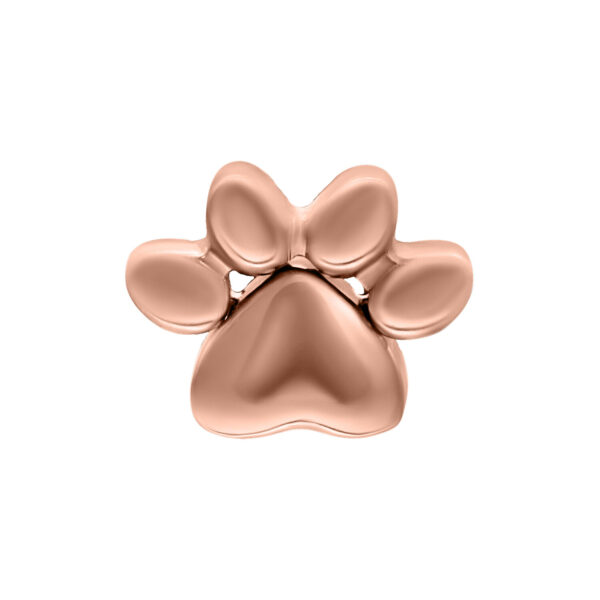Adorno de pata en rosado dorado de titanio sobre fondo blanco