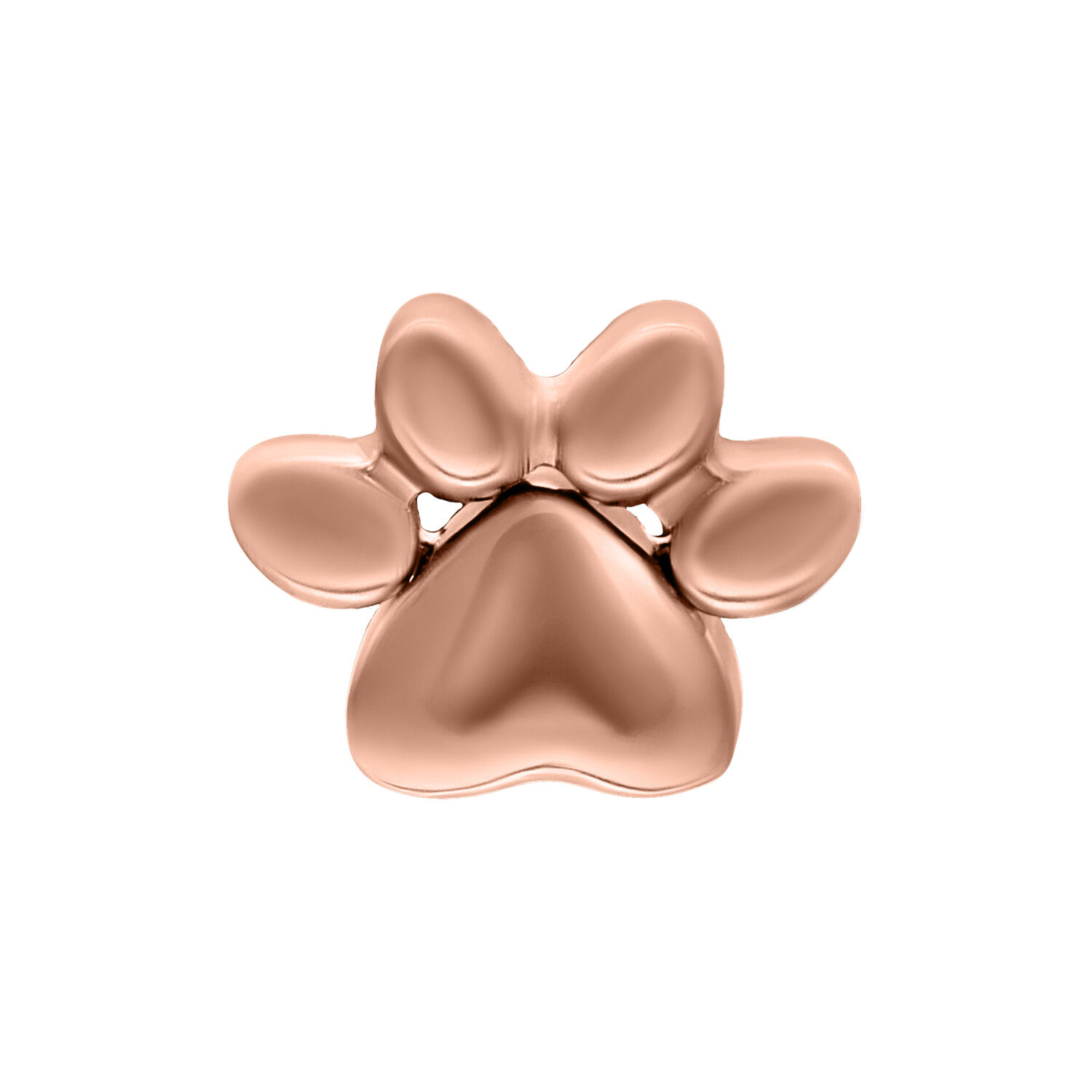 Rosado dorado Push Fit Little Paw Adorno Adorno de pata en rosado dorado de titanio sobre fondo blanco
