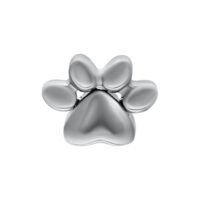 Accesorio de pata de titanio plateado para Push Fit Accesorio de pata plateado de titanio sobre fondo blanco