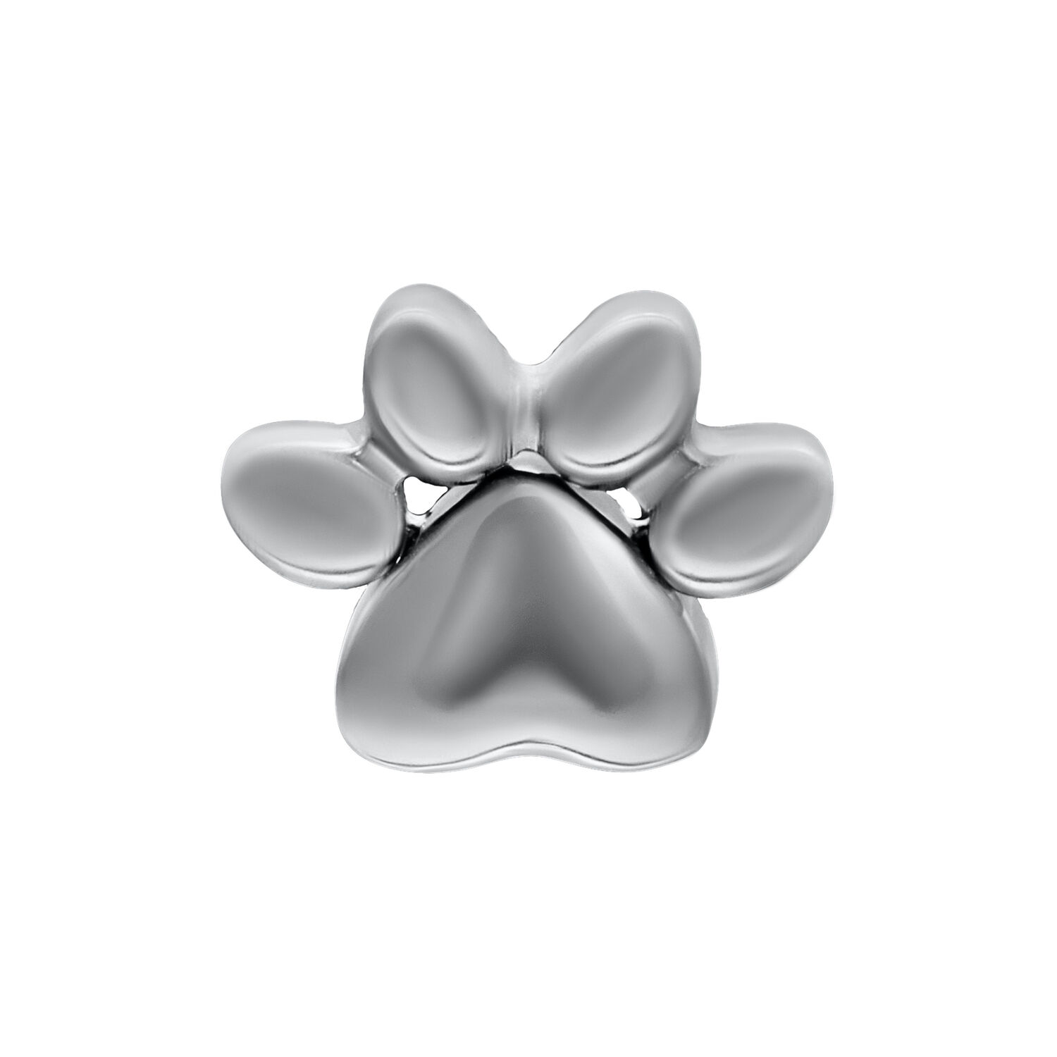 Accesorio de pata de titanio plateado para Push Fit Accesorio de pata plateado de titanio sobre fondo blanco