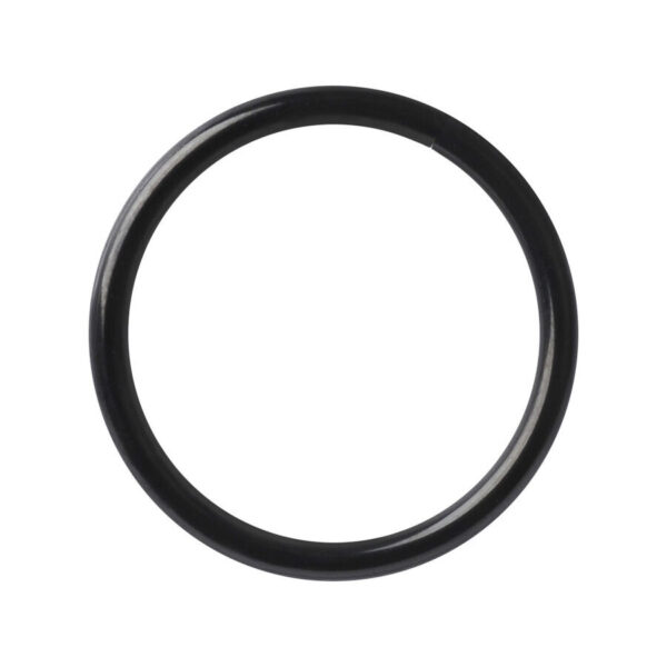 Anillo de piercing negro, sin costuras, de acero quirúrgico sobre fondo blanco