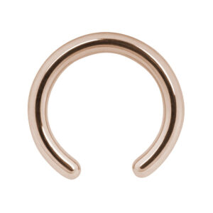 Basic Clip In Ring