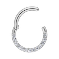 Clicker de septum plateado de acero quirúrgico con cristales claros sobre fondo blanco