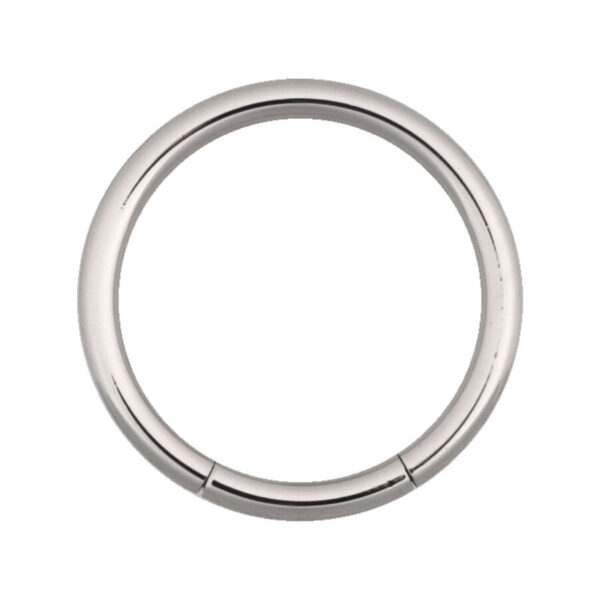 Anillo segmentado plateado de acero quirúrgico, 10mm de diámetro, 2,4mm de grosor