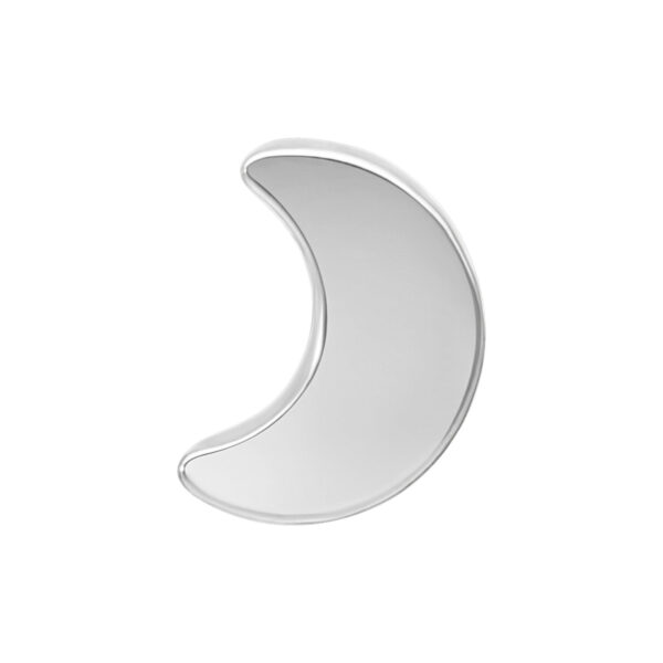 Ajuste de luna plateada de titanio sobre fondo blanco