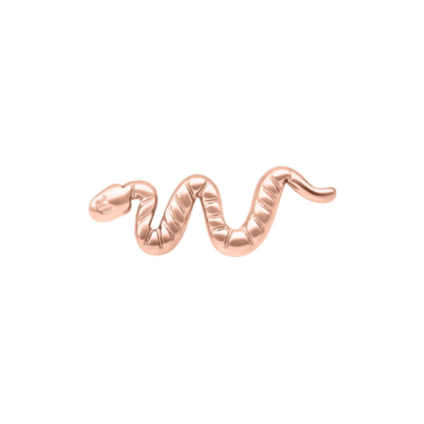 Accesorio Push Fit Snake