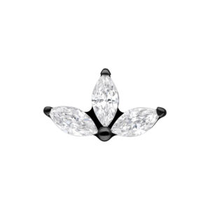 Accesorio Loto de Cristal Push Fit - Negro