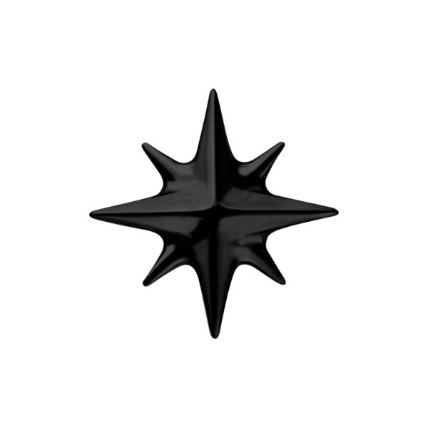 Estrella de metal negro con superficie lisa sobre fondo blanco