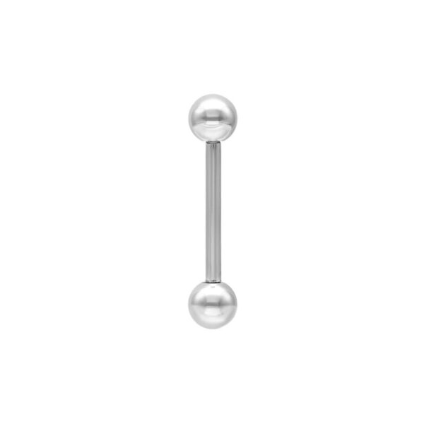 Barbell básico plateado de titanio con dos bolas sobre fondo blanco