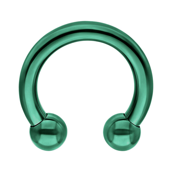 Circular Barbell verde oscuro de titanio con superficie brillante sobre fondo blanco