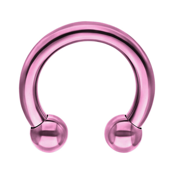 Barbell circular violeta de titanio con dos bolas sobre fondo blanco