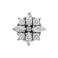 Ajuste plateado de titanio con circonitas brillantes sobre fondo blanco