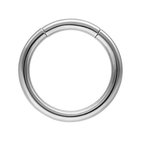 Anillo segmentado plateado de titanio sobre fondo blanco