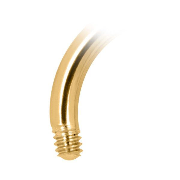 Circular Barbell dorado de titanio con rosca externa sobre fondo blanco