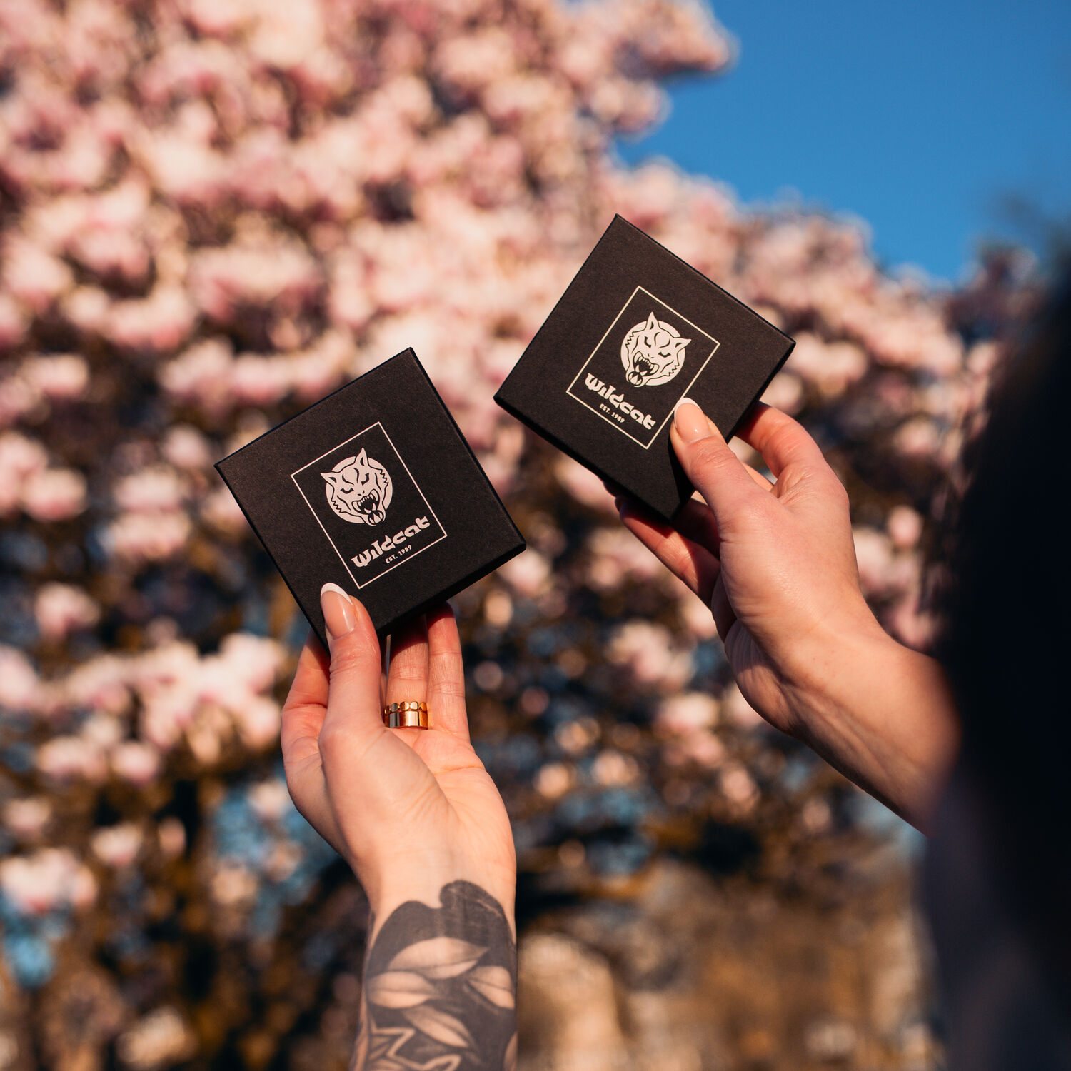 Dos cajas negras con el logo de Wildcat, sostenidas por manos, frente a un árbol en flor de fondo