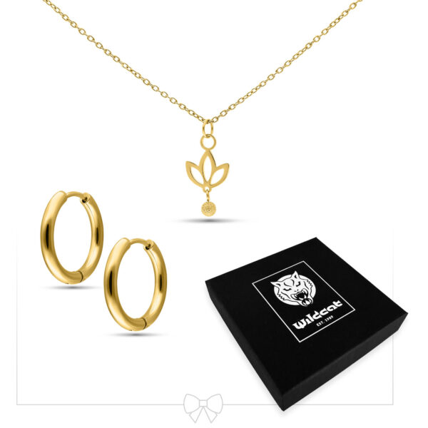 Set de joyas doradas con cadena y aros sobre fondo blanco junto a caja negra de Wildcat